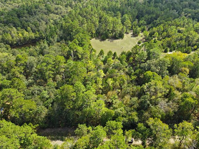 TBD The Woods Rd Lot 46 Road, Coldspring, TX 77331
