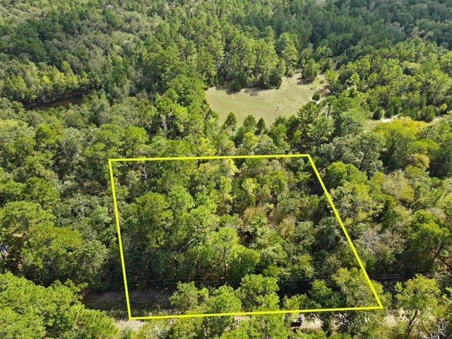 TBD The Woods Rd Lot 46 Road, Coldspring, TX 77331