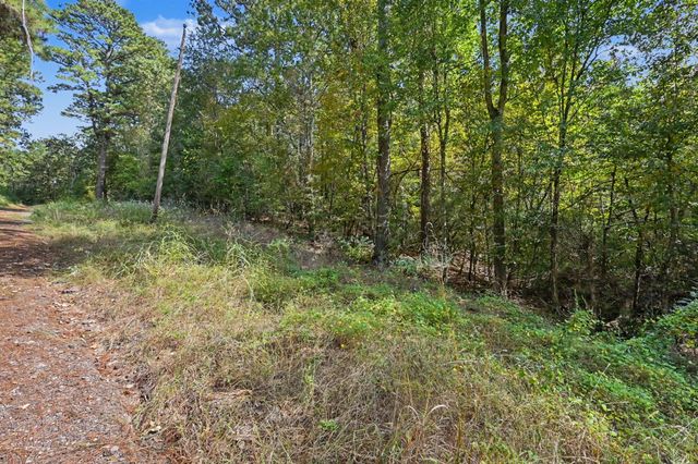 TBD The Woods Rd Lot 46 Road, Coldspring, TX 77331