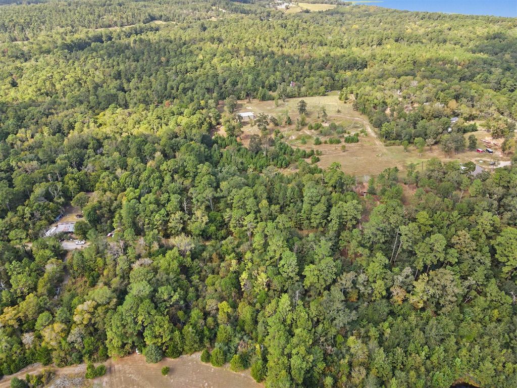 TBD The Woods Rd Lot 46 Road, Coldspring, TX 77331