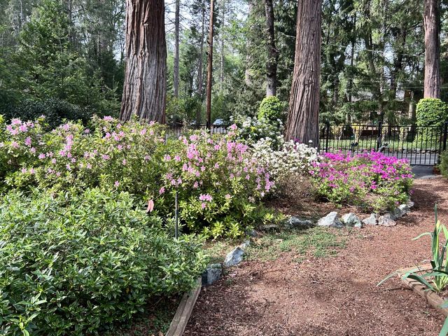 11897 Banner Ct, Nevada City, CA 95959