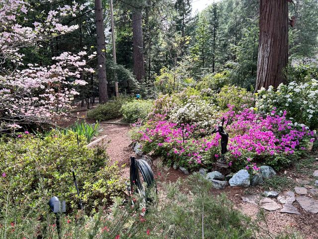 11897 Banner Ct, Nevada City, CA 95959