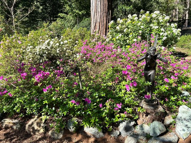 11897 Banner Ct, Nevada City, CA 95959