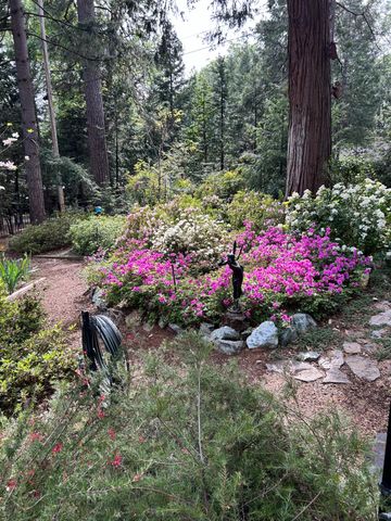 11897 Banner Ct, Nevada City, CA 95959