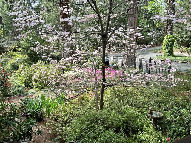 11897 Banner Ct, Nevada City, CA 95959
