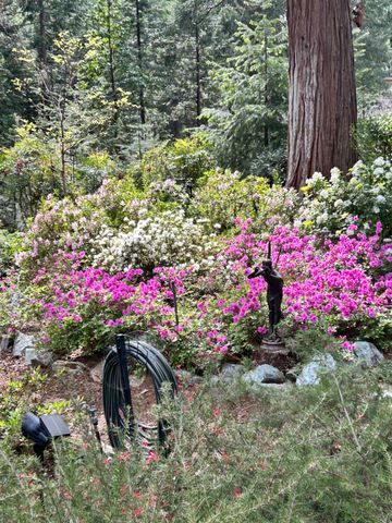 11897 Banner Ct, Nevada City, CA 95959