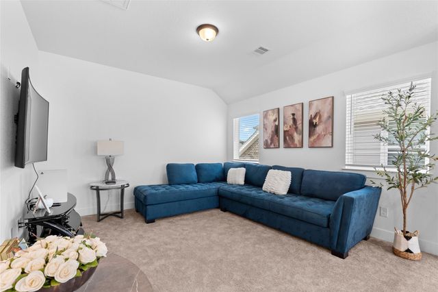 17735 Tree Of Heaven, Conroe, TX 77385