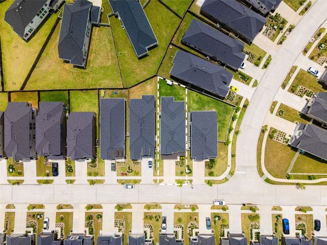 17735 Tree Of Heaven, Conroe, TX 77385