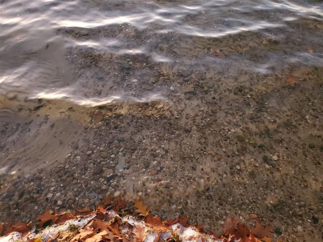 5037 2nd Street, Delton, MI 49046