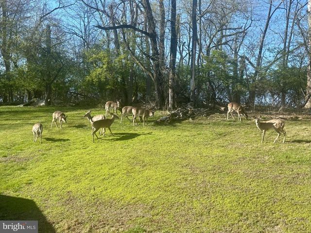 474 RIDGE LN, Springfield, PA 19064