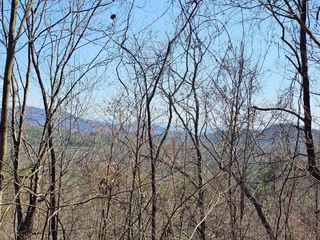 Lot 39 Merlin Trl / Warbler Road, Murphy, NC 28906