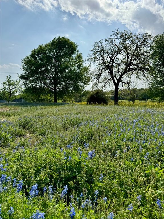 15420 Arhopulos Road, College Station, TX 77845 — photo 2