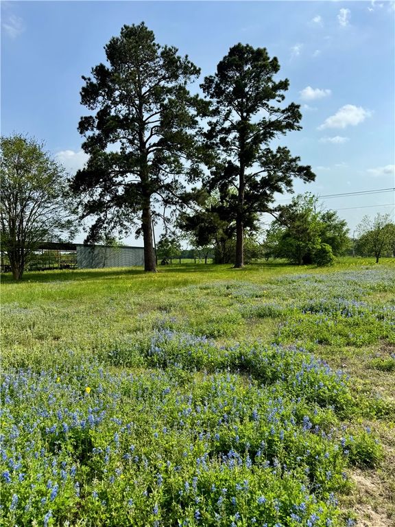 15420 Arhopulos Road, College Station, TX 77845 — photo 3