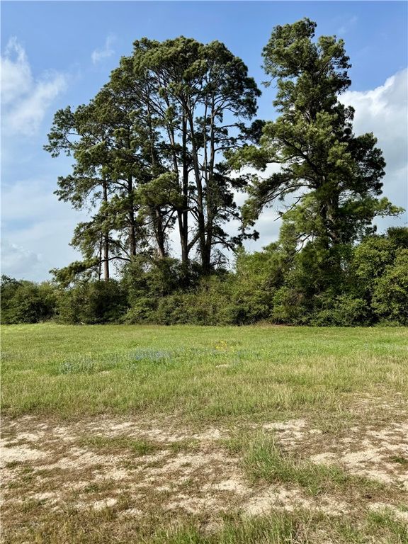 15420 Arhopulos Road, College Station, TX 77845 — photo 4
