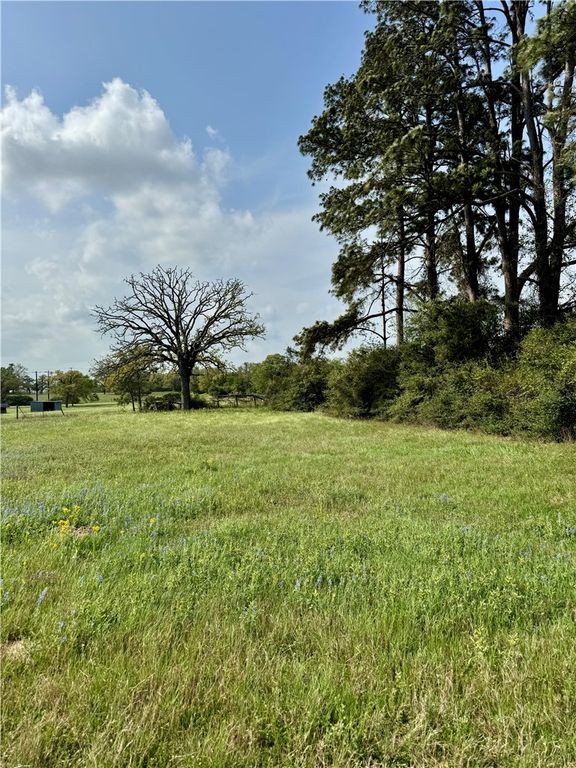 15420 Arhopulos Road, College Station, TX 77845 — photo 5