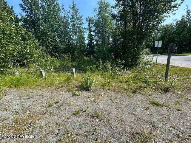 121 E Herning Avenue, Wasilla, AK 99654