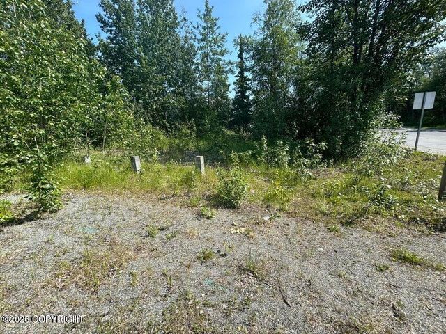 121 E Herning Avenue, Wasilla, AK 99654