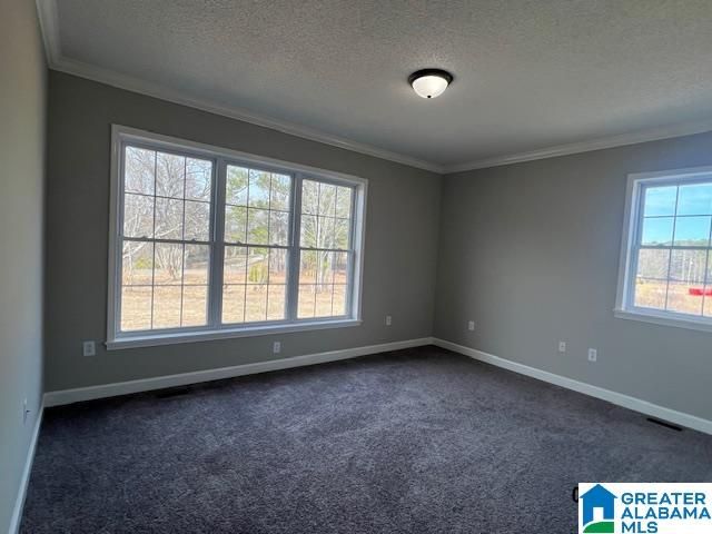 3230 BLOOMING GROVE ROAD, Jasper, AL 35504