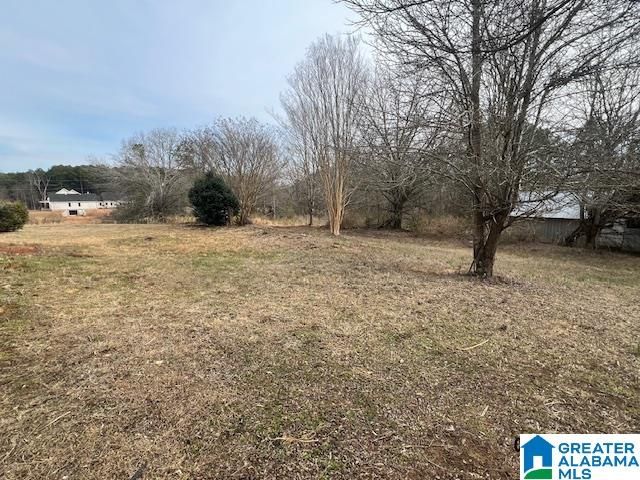 3230 BLOOMING GROVE ROAD, Jasper, AL 35504