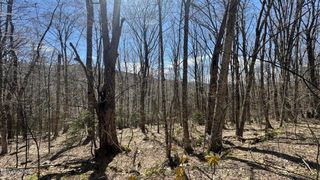 0 Aplendorf Avenue Lot 92, Readsboro, VT 05350