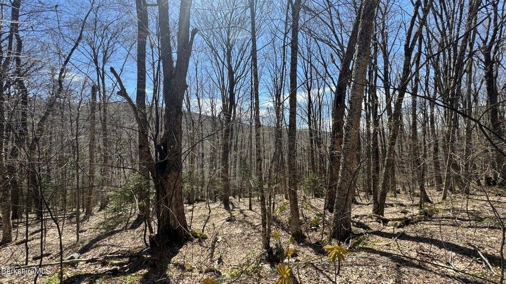0 Aplendorf Avenue Lot 92, Readsboro, VT 05350