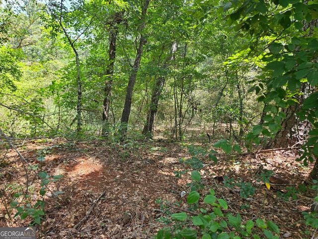 LOT 2 June Ivey Road, Bethlehem, GA 30620
