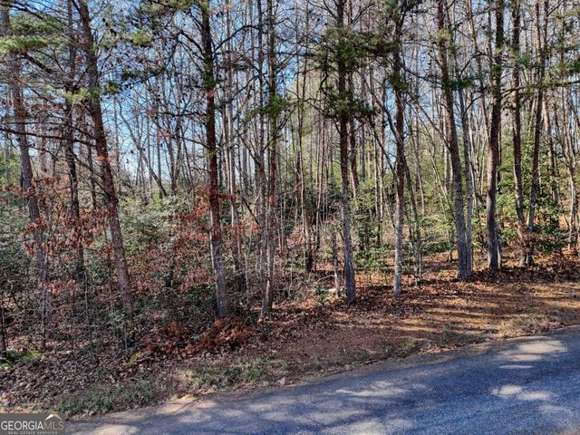 LOT 5 Tombstone Drive 5, Blairsville, GA 30512