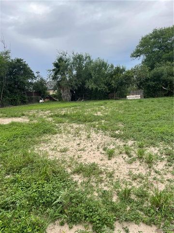 408 E Gardenia Avenue, Hidalgo, TX 78557