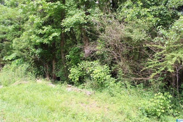 0 WOOTEN ROAD, Alabaster, AL 35007