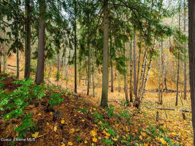 6655 Buchanan St, Bonners Ferry, ID 83805