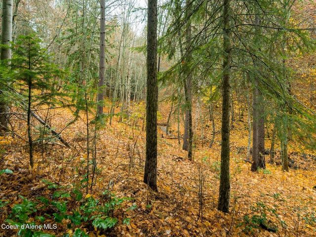 6655 Buchanan St, Bonners Ferry, ID 83805