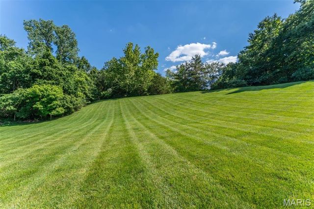 16702 Wills Trace, Wildwood, MO 63005