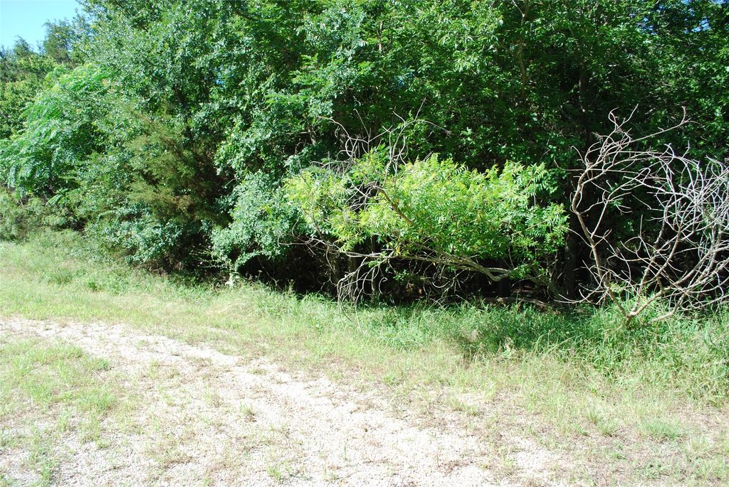 1685 Creekside Court, Whitney, TX 76692