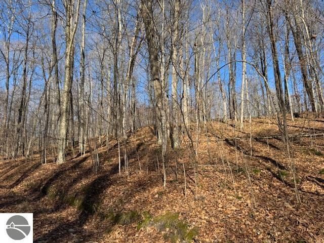 10242 N 7 Mile Road, Lake City, MI 49651