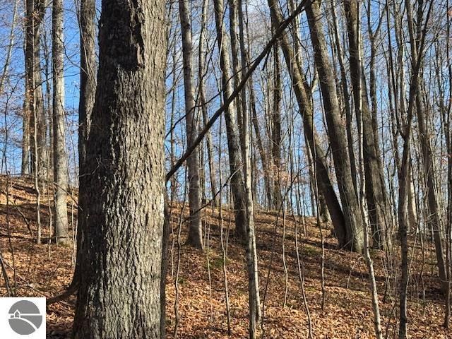 10242 N 7 Mile Road, Lake City, MI 49651