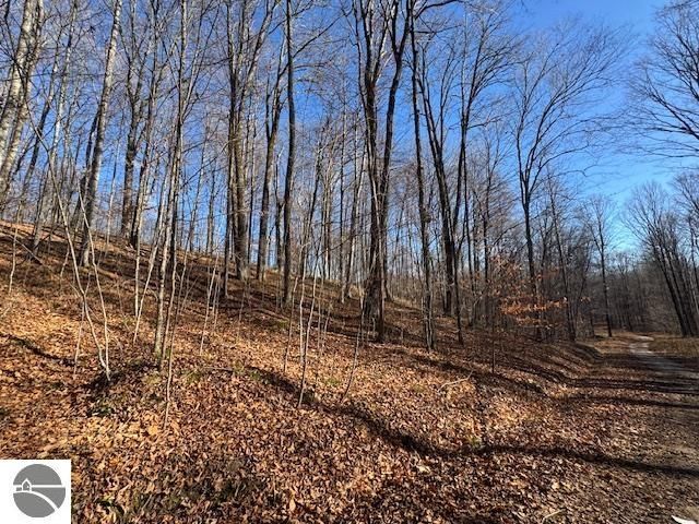 10242 N 7 Mile Road, Lake City, MI 49651