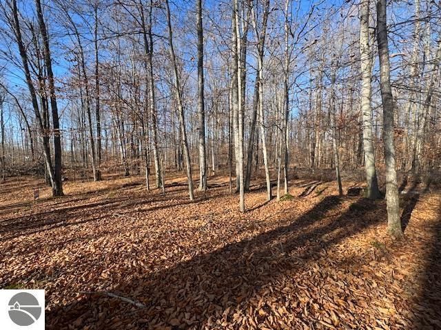 10242 N 7 Mile Road, Lake City, MI 49651