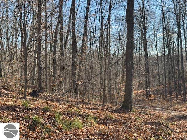 10242 N 7 Mile Road, Lake City, MI 49651