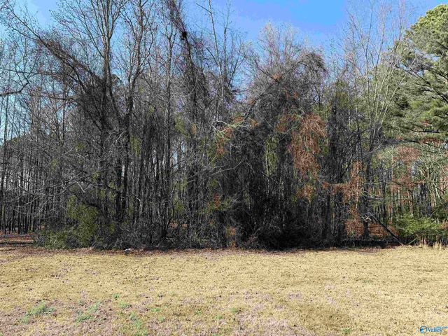 2.5 Mose Chapel Road, Madison, AL 35758