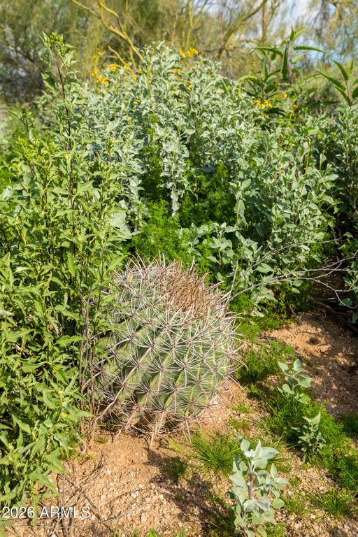 Image 18 of property listing at 6382 E CALLE DE MANDEL Drive '-', Scottsdale, AZ 85266