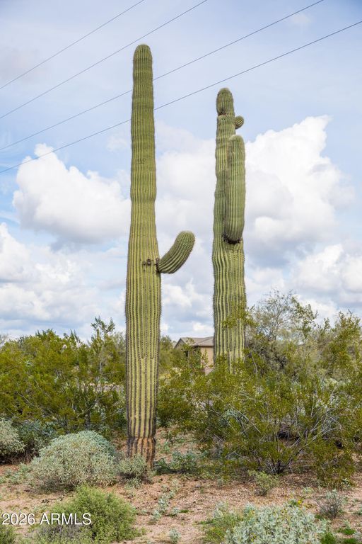 Image 2 of property listing at 6382 E CALLE DE MANDEL Drive '-', Scottsdale, AZ 85266