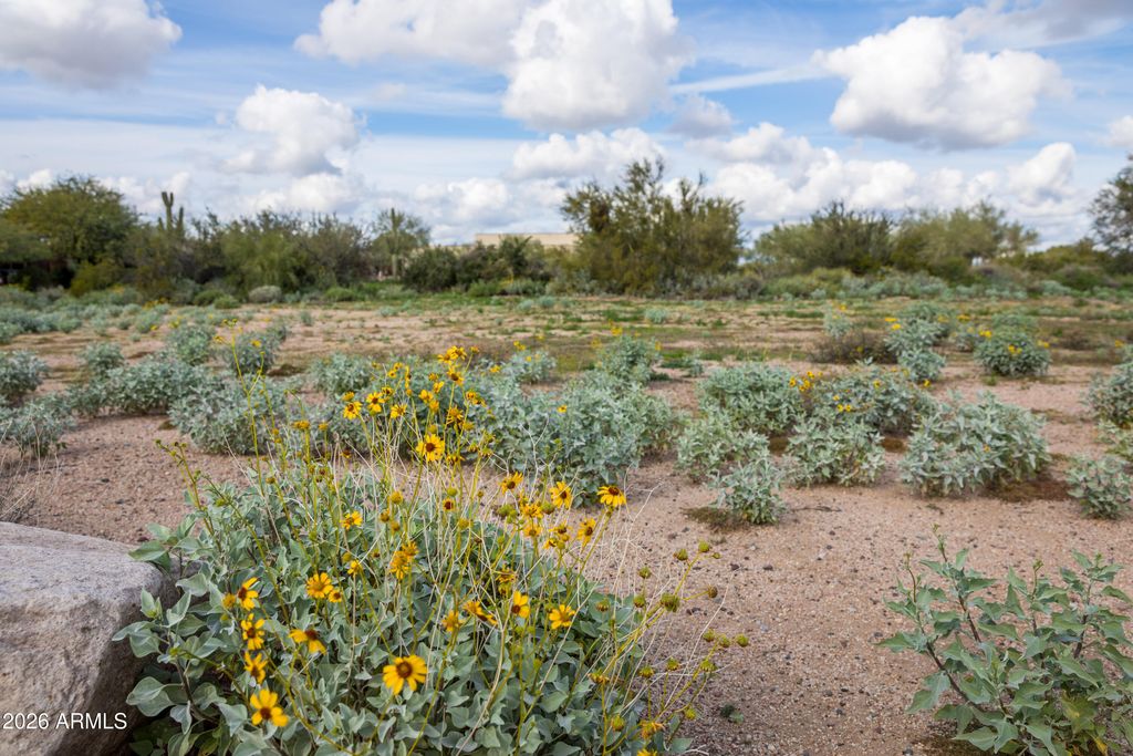 Image 3 of property listing at 6382 E CALLE DE MANDEL Drive '-', Scottsdale, AZ 85266