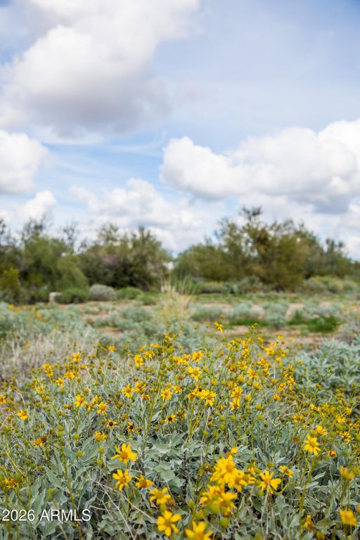 Image 5 of property listing at 6382 E CALLE DE MANDEL Drive '-', Scottsdale, AZ 85266