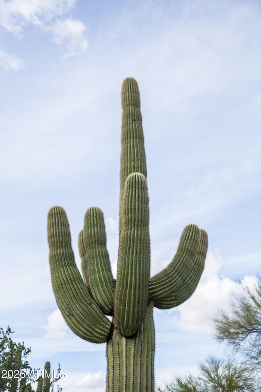 Image 7 of property listing at 6382 E CALLE DE MANDEL Drive '-', Scottsdale, AZ 85266