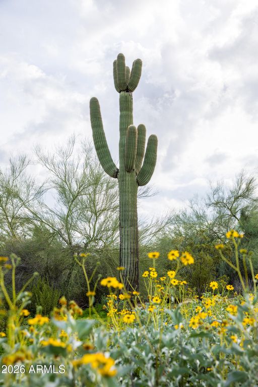 Image 9 of property listing at 6382 E CALLE DE MANDEL Drive '-', Scottsdale, AZ 85266