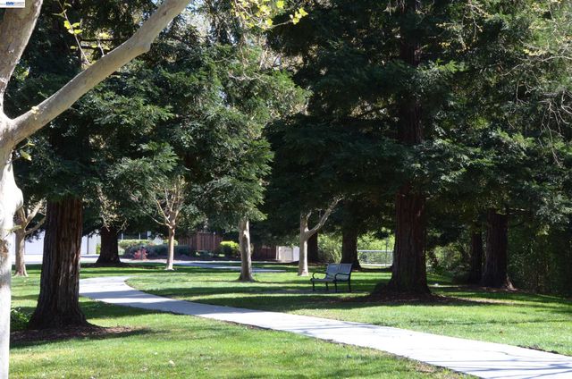 1626 Harlan Dr, Danville, CA 94526