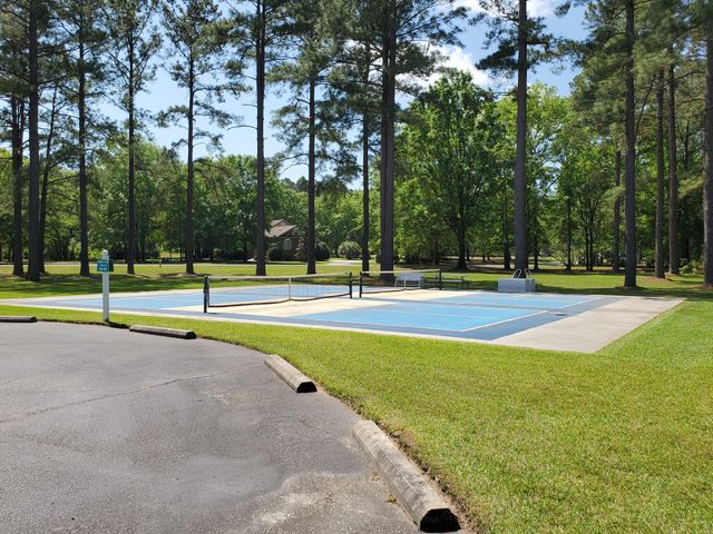 203 Ridge Lake Drive, Manning, SC 29102