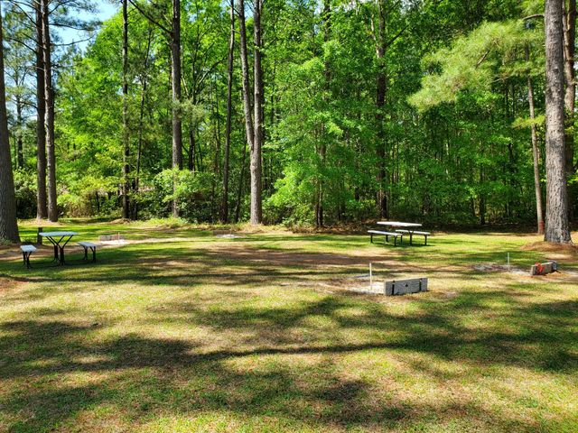 203 Ridge Lake Drive, Manning, SC 29102