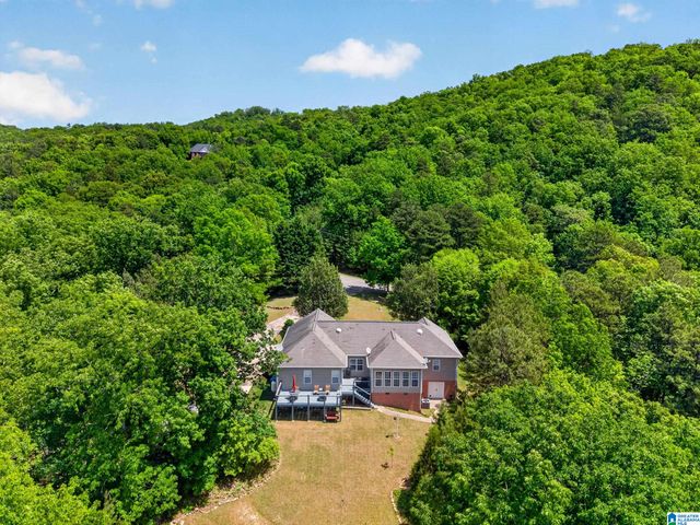 10 LAUREL CIRCLE SE, Jacksonville, AL 36265