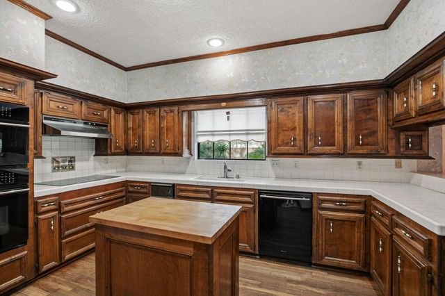 15235 Rainhollow Drive, Houston, TX 77070